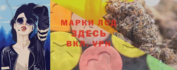 спиды Аркадак
