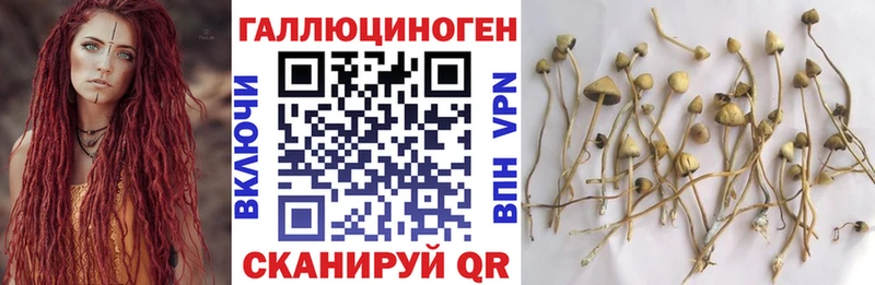 Галлюциногенные грибы ЛСД  как найти наркотики  Артёмовск 